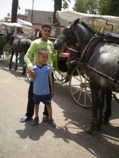 Family Trip to Marrakesh 2 - Choosing a Carriage